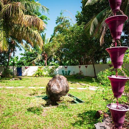 Dream Villa Mirissa Exterior foto